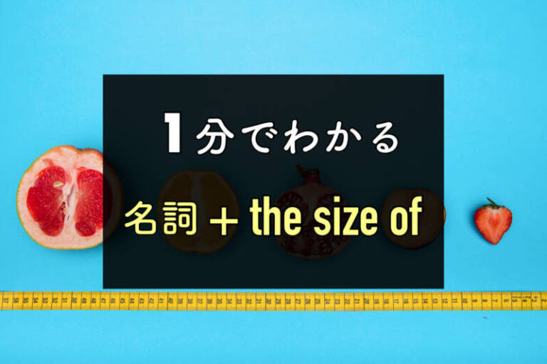 【１分ガイド】形容詞？の「名詞＋the size of」ー意味・例文